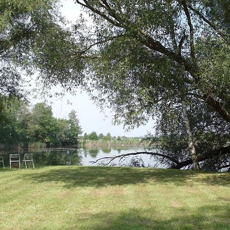 Ferienwohnungen Im Kunst.Haus Am See Doberlug-Kirchhain Zewnętrze zdjęcie